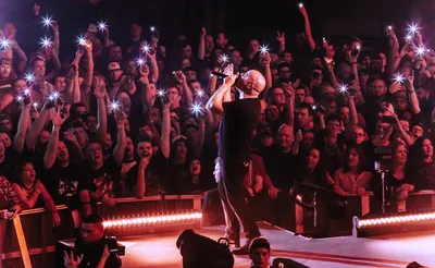 Disturbed